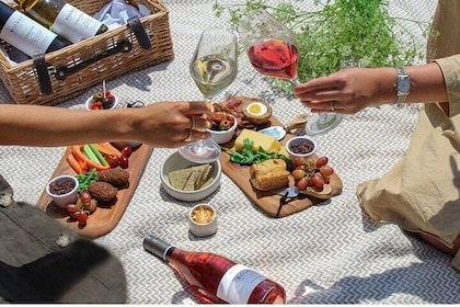 Winery and Picada Tour in Mendoza from the Airport