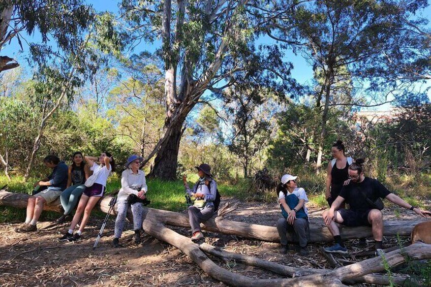 Melbourne Tour: Walk the Yarra & Heritage Convent Experience
