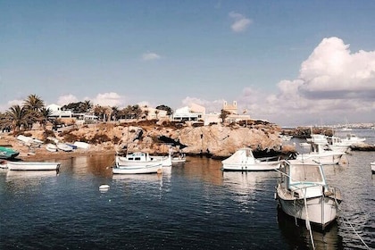 From Torrevieja Tabarca Santa Pola and entrance to the Pink Lagoon