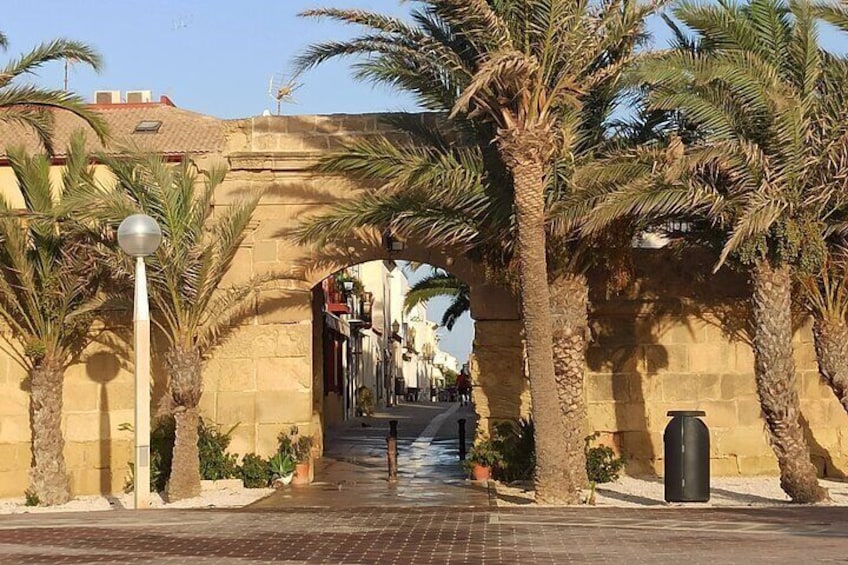 From Torrevieja Tabarca Santa Pola and entrance to the Pink Lagoon