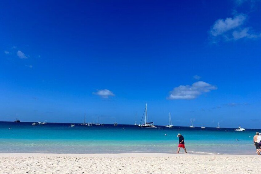  Carlisle Bay Swimming Horses Breakfast and Beach Day