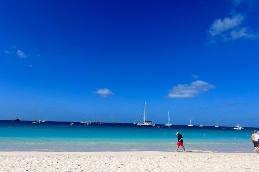 Carlisle Bay Swimming Horses Breakfast and Beach Day