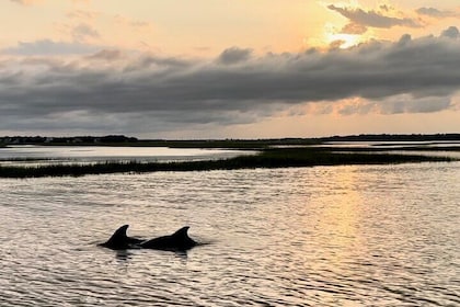 Private Folly River Sunset Dolphin Cruise
