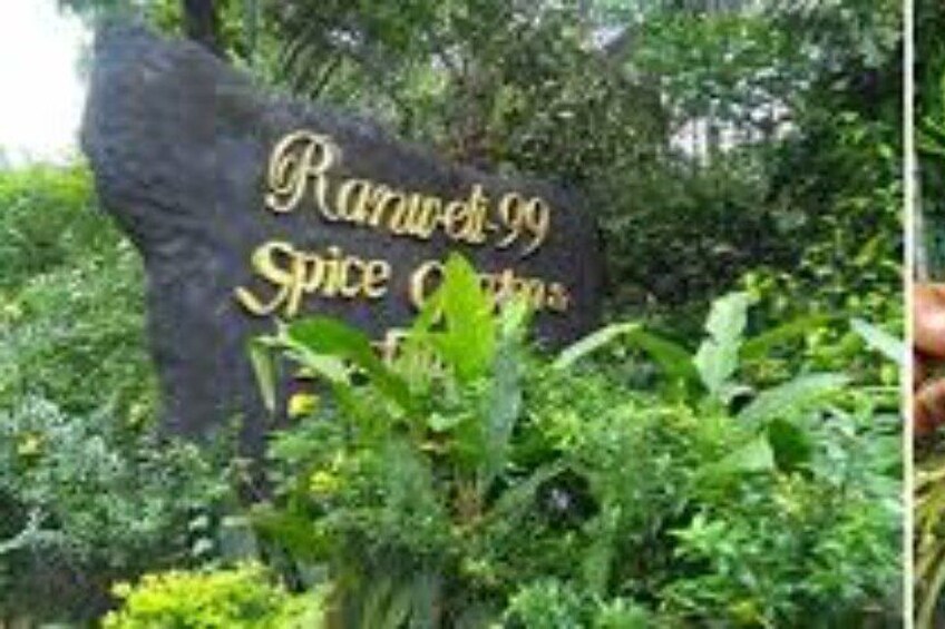 Ranveli Spice Garden