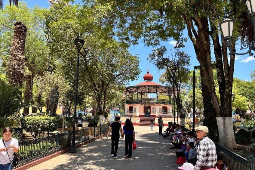 Private City Tour San Cristobal de las Casas