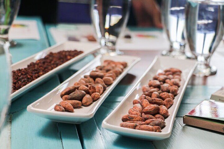 El Chocolate de la Paz: A Journey of Flavor, Memory, and Peace