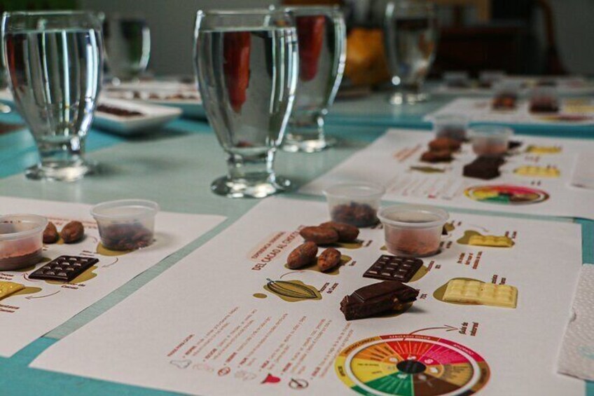El Chocolate de la Paz: A Journey of Flavor, Memory, and Peace