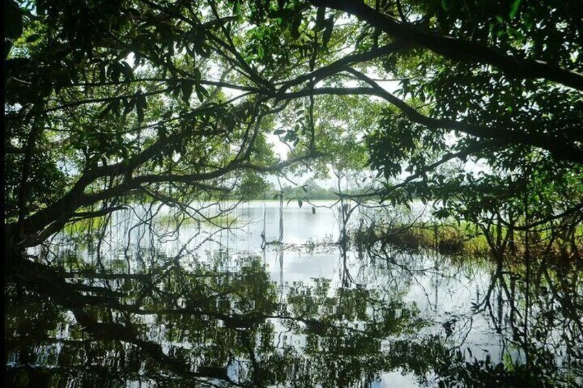 Multi Day Tours in Amazonas Region