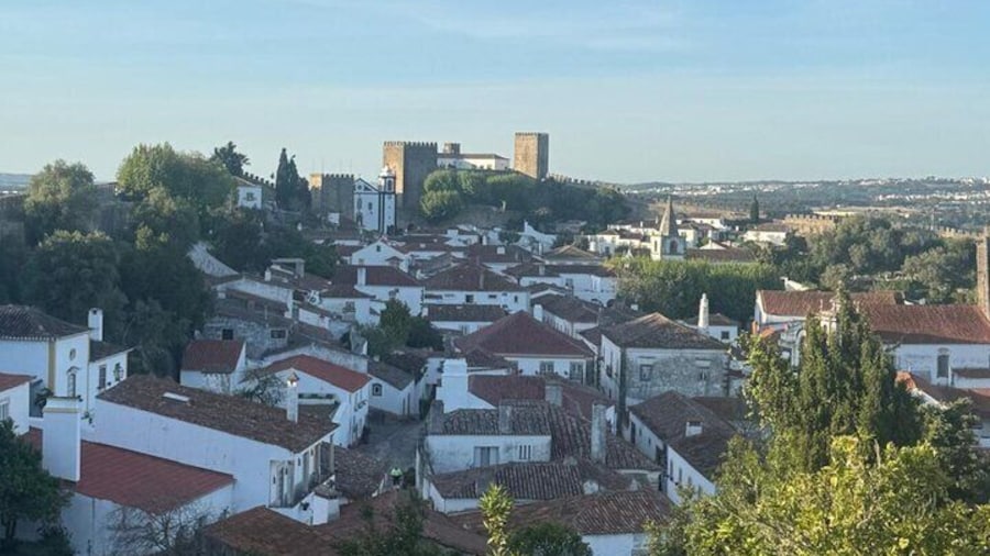 Explore Óbidos: Medieval history and Portuguese flavours