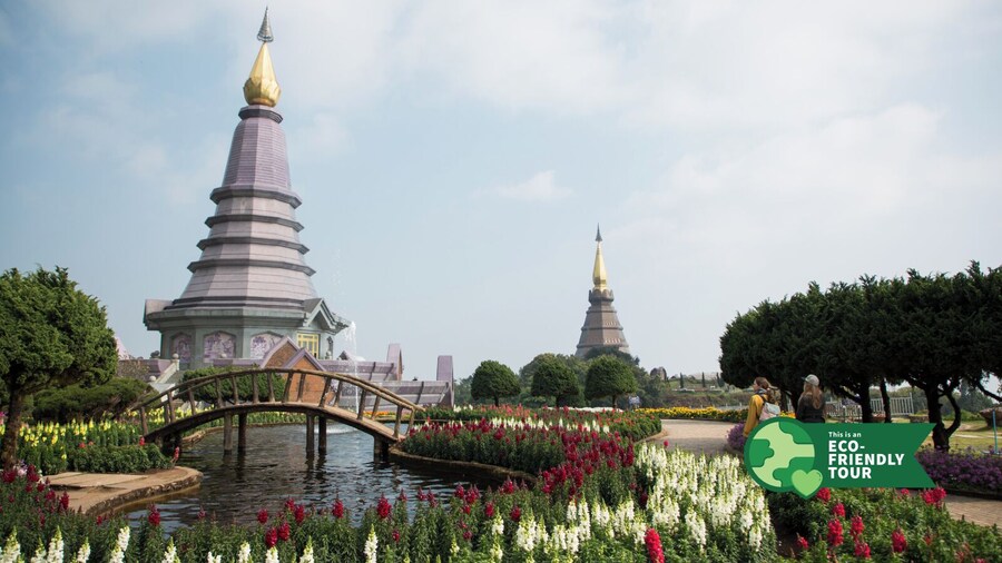 Doi Inthanon National Park Tour with Waterfalls & Nature Trails
