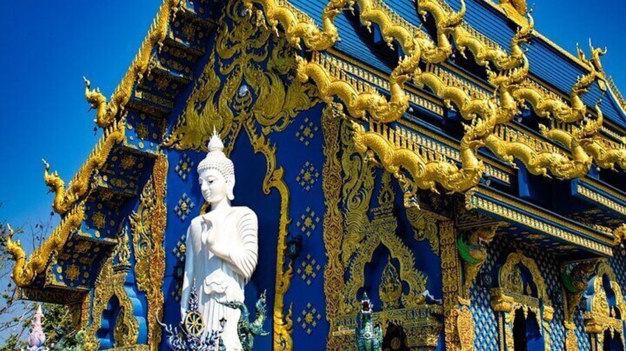 Chiang Mai White Temple, Blue Temple, Black Museum & Golden Triangle