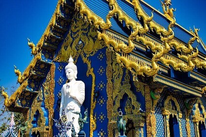 Chiang Mai White Temple, Blue Temple, Black Museum & Golden Triangle