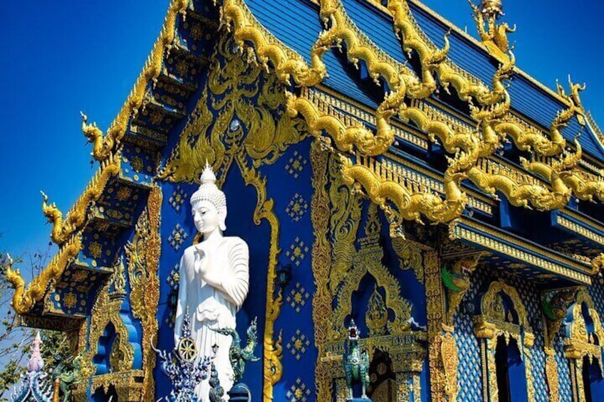 Chiang Mai White Temple, Blue Temple, Black Museum & Golden Triangle