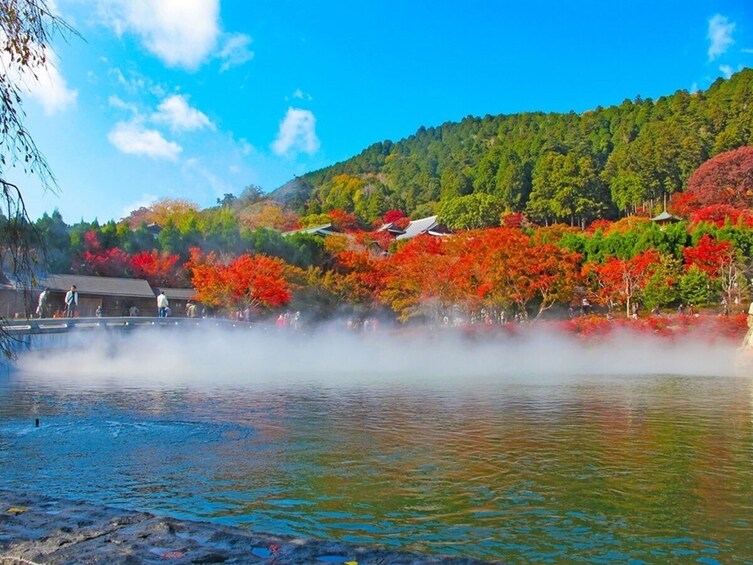 Katsuoji Temple & Arashiyama 1-Day Bus Tour w/ Meal