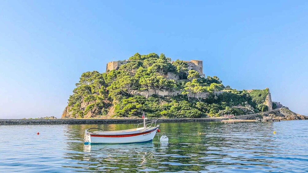 Picture 3 for Activity Hybrid boat trip around Fort de Brégançon departing from Bormes