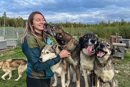 Sled Dog Kennel Tour