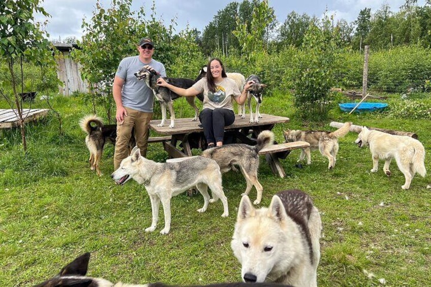 Sled Dog Kennel Tour