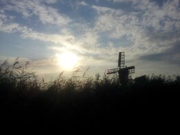 Sunset Canoe Tour near Amsterdam