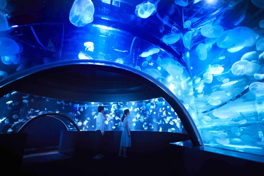 Picture 2 for Activity Kyoto Aquarium Admission Ticket