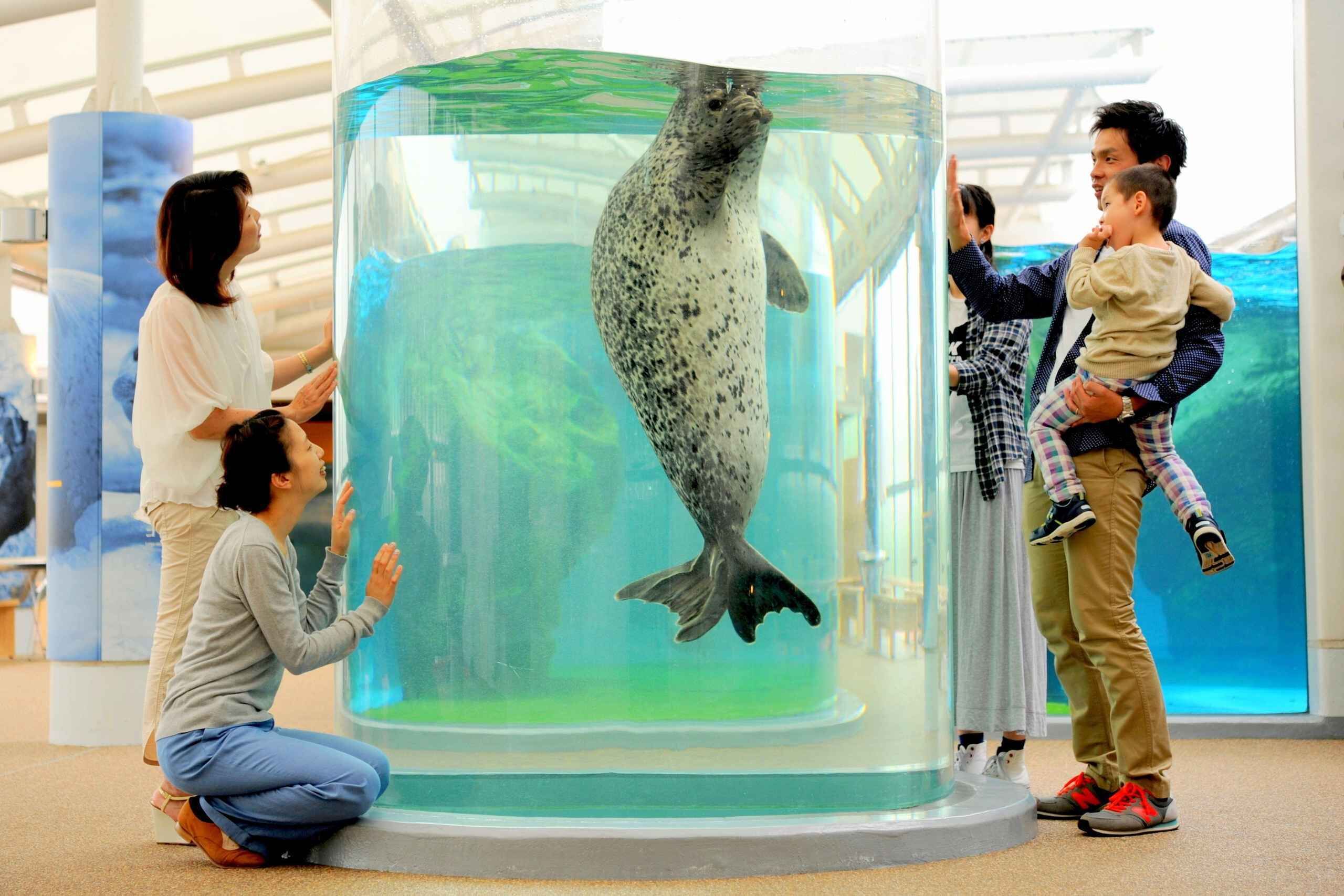 Kyoto Aquarium Admission Ticket