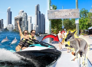 2 Hour Tropical Island Jet Ski Tour