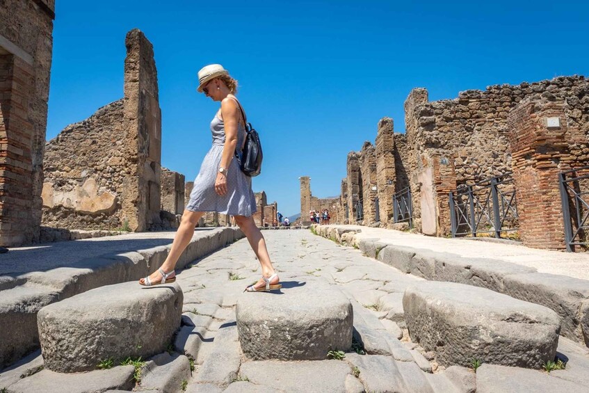 Picture 1 for Activity Pompeii and Vesuvius Winery Tour with Wine Tasting