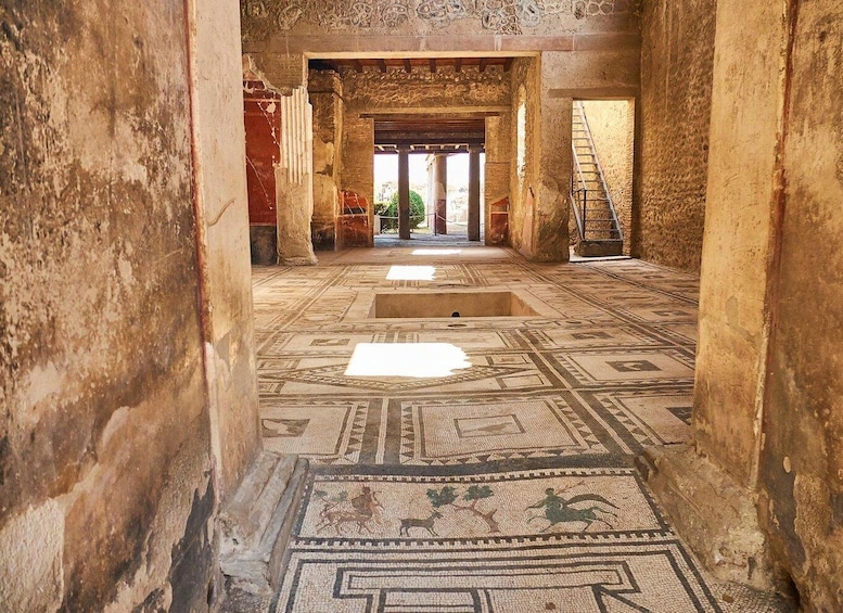 Picture 2 for Activity Pompeii and Vesuvius Winery Tour with Wine Tasting