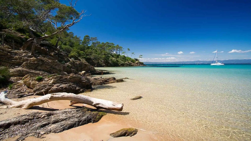 Picture 3 for Activity Bormes-les-Mimosas: Hybrid boat to Porquerolles Island