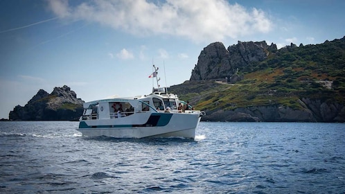 Bormes-les-Mimosas: Hybrid boat trip to Porquerolles Island