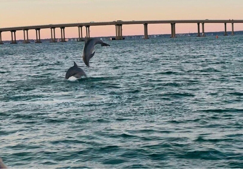 Picture 2 for Activity Destin: 90-Minute Boat Ride with Captain