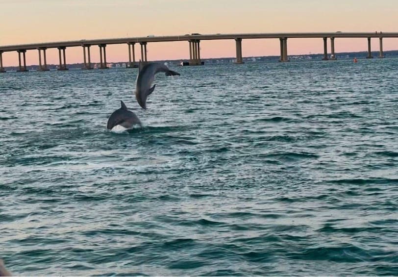 Picture 2 for Activity Destin: 90-Minute Boat Ride with Captain
