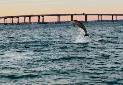 Destin: 90-Minute Boat Ride with Captain