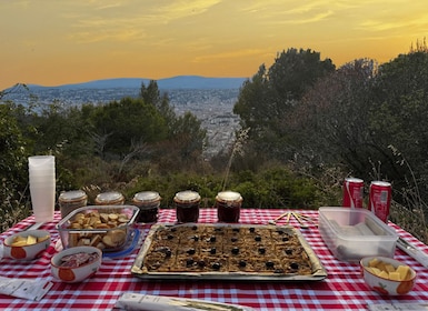 Nice: Sunset & Wine Tasting in Defender with panoramic view