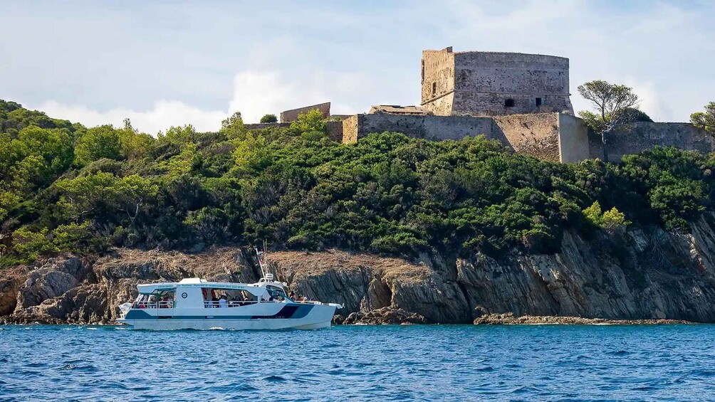 Picture 5 for Activity 2 Islands Cruise: Porquerolles & Port-Cros with stops