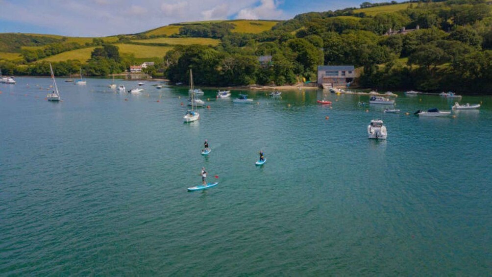 Picture 3 for Activity Salcombe: Group Stand Up Paddleboarding Tour