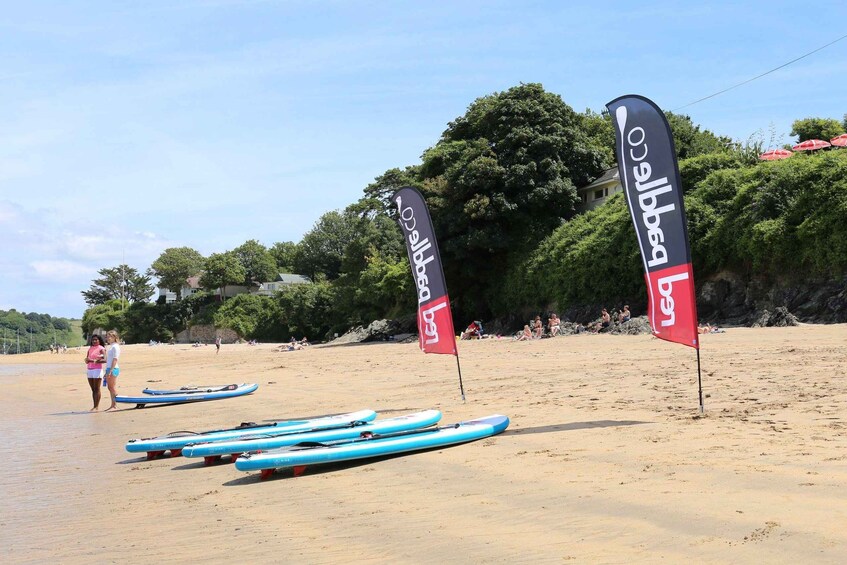 Picture 1 for Activity Salcombe: Group Stand Up Paddleboarding Tour