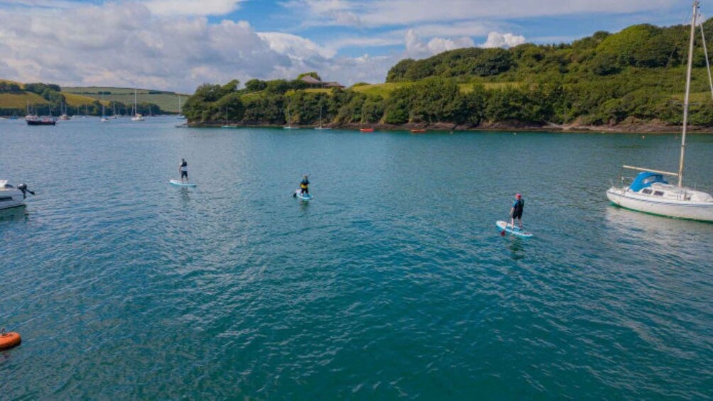 Picture 4 for Activity Salcombe: Group Stand Up Paddleboarding Tour