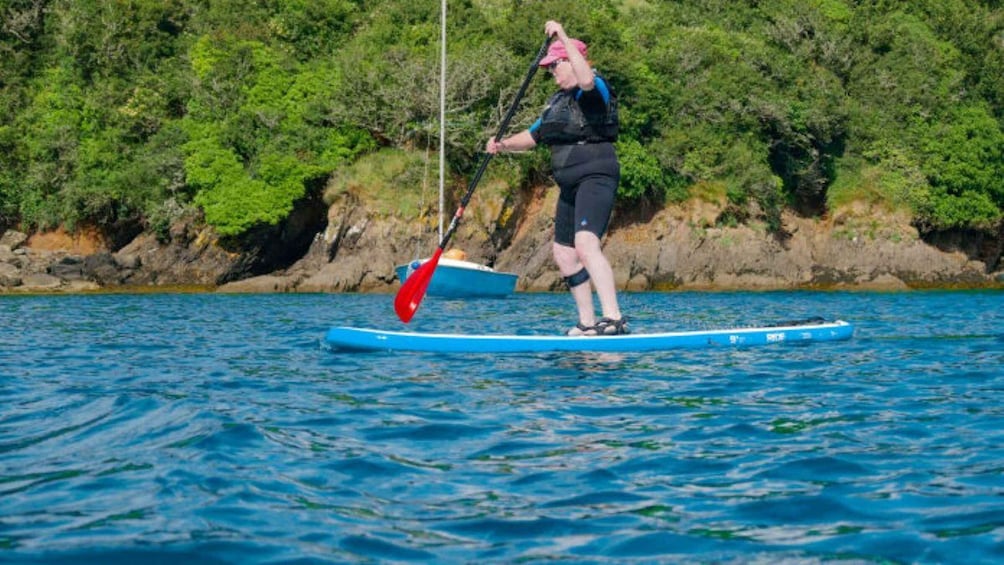 Salcombe: Group Stand Up Paddleboarding Tour