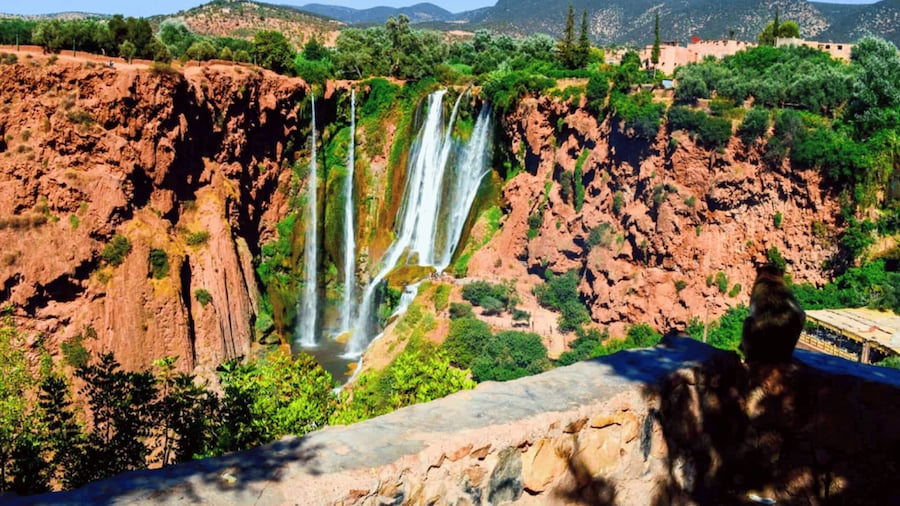 From Marrakech: Ouzoud Waterfall Local guide & Boat Ride