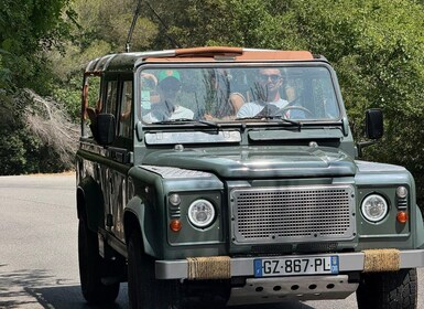 Nice: 4x4 Tour to Èze Village with Fragonard Perfume Factory