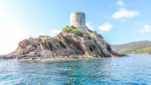 Bormes-les-Mimosas: Sea trip in the heart of Port-Cros National Park