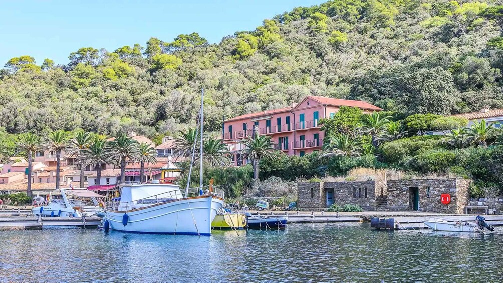 Picture 4 for Activity Sea trip in the heart of Port-Cros National Park departing from Bormes