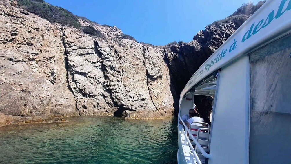 Picture 3 for Activity Sea trip in the heart of Port-Cros National Park departing from Bormes