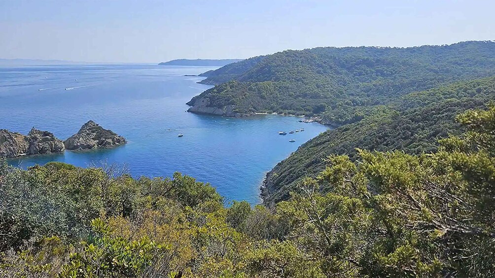Picture 4 for Activity Port-Cros Island: Hybrid boat departing from Bormes-les-Mimosas