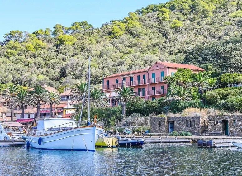 Picture 3 for Activity Port-Cros Island: Hybrid boat departing from Bormes-les-Mimosas