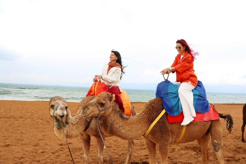 Picture 7 for Activity Tarifa: Day trip to Tangier by ferry with lunch and tour guide