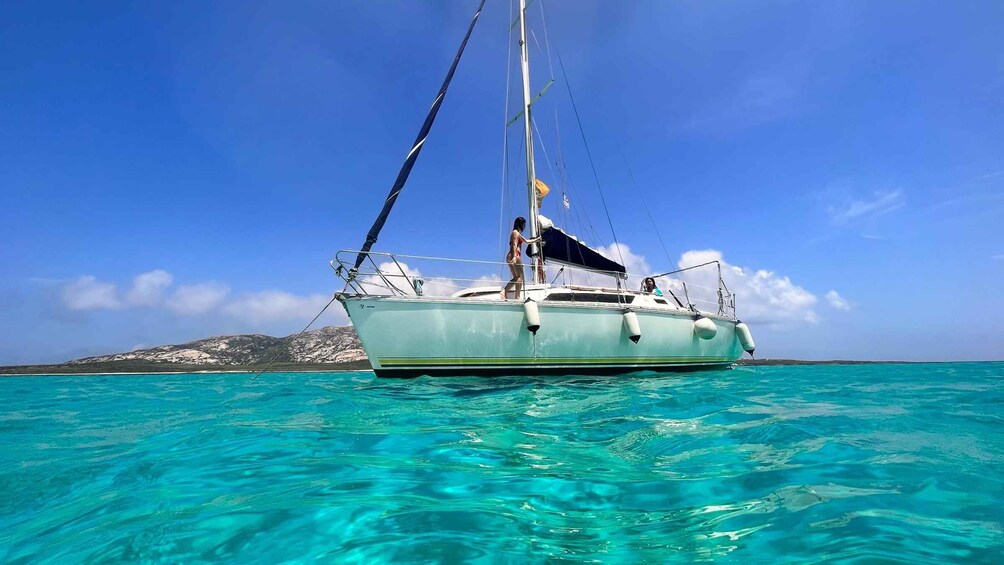 Asinara: Full Day Sailboat Excursion from Stintino