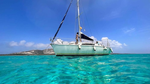 Asinara: Full Day Sailboat Excursion from Stintino