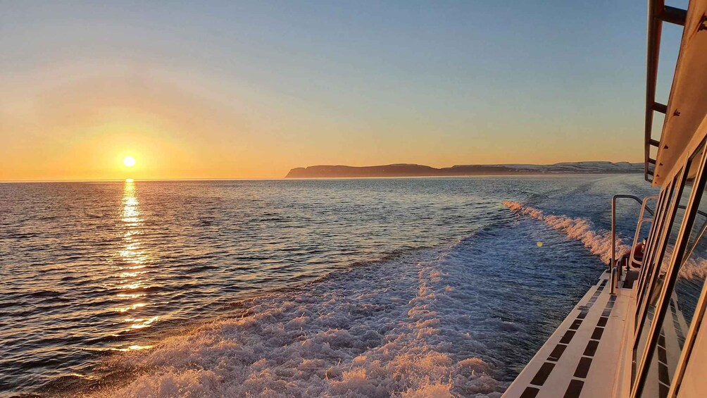 Ísafjörður: Midnight Whale Watching Tour with Hydrophone