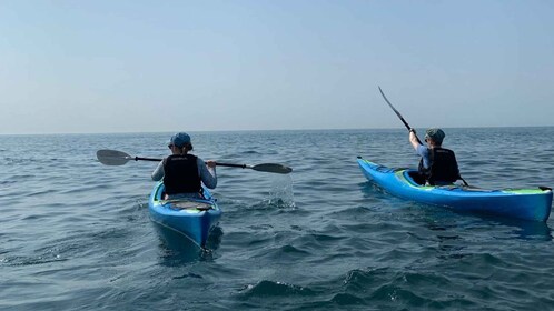 Salcombe: Harbour Hero Sea Kayak Tour